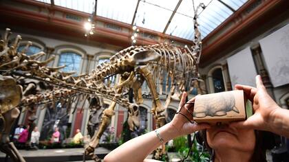 El museo digital de Google se puede recorrer con anteojos de realidad virtual, con el smartphone o desde la PC