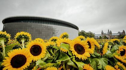 El museo fue fundado por los descendientes de Vincent van Gogh.