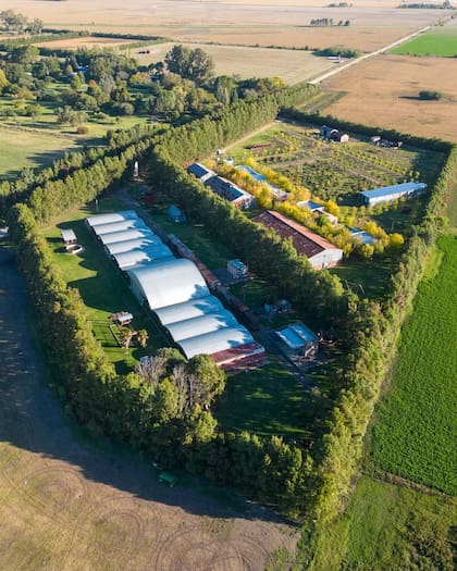 El Museo Iriarte tiene 4 hectáreas, edificios que imitan los locales de otras épocas y 14 galpones con objetos antiguos (Foto: @museoiriarte)