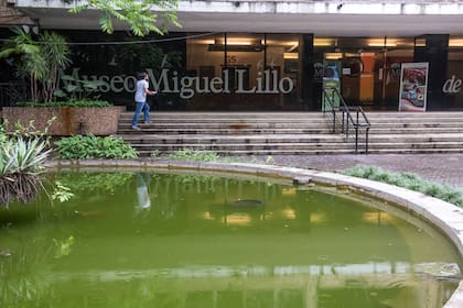 El Museo Miguel Lillo es visita fundamental en Tucumán.