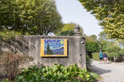 El museo MoMA de Nueva York conserva actualmente la pintura y ha documentado que Van Gogh trabajó en la obra mientras permanecía internado por decisión propia