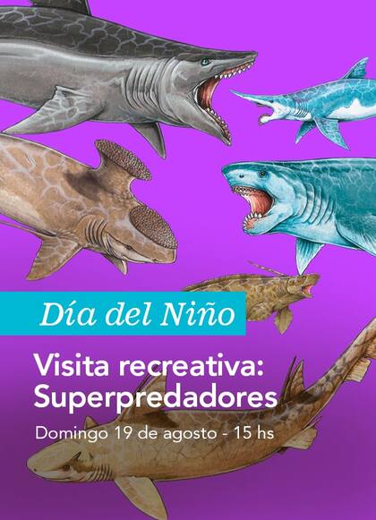El museo ofrece una visita guiada para saber y conocer la vida de los animales más predadores del mundo y de la historia del plantea. Es gratis.