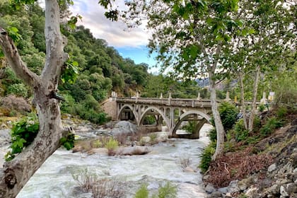 El nacimiento de las moscas negras está vinculado a los ríos / Unsplash