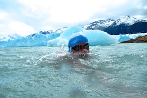 Cómo nadar entre los témpanos desprendidos del Glaciar Perito Moreno y no congelarse en el intento
