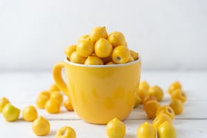 El nanche contiene propiedades antioxidantes que ayudan a neutralizar los radicales libres, lo cual previene el daño celular, lo que puede reducir el riesgo de enfermedades crónicas (imagen ilustrativa)