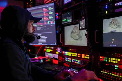 El Nautilus belauensis es parte de un grupo conocido como fósiles vivientes