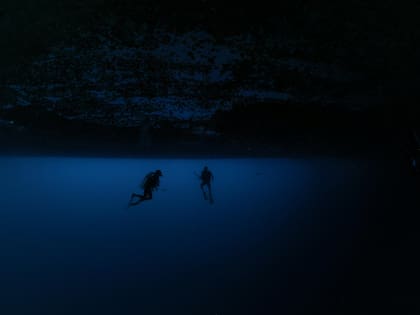 El negocio podría estar valuado en 50 mil dólares