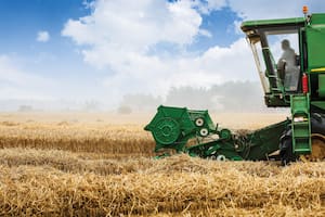 La próxima campaña de trigo se enfrenta a números al límite o en rojo