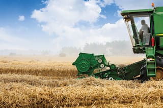 La próxima campaña de trigo se enfrenta a números al límite o en rojo