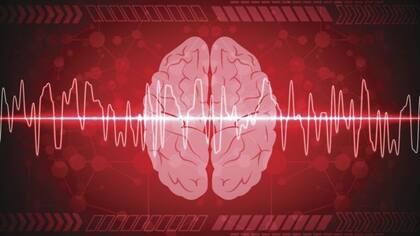El neurocientífico ha estudiado los procesos de "alineación cerebral"