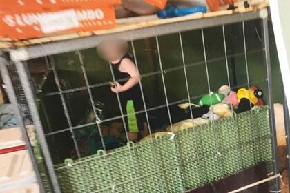 El niño estaba enjaulado en medio de la mugre, rodeado de un sinnumero de plagas y una serpiente sobre sus víveres