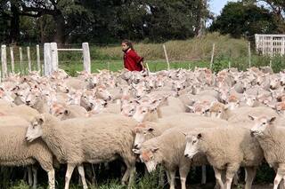 Querían sumar a sus hijas a un plan y lo lograron de una manera sorprendente