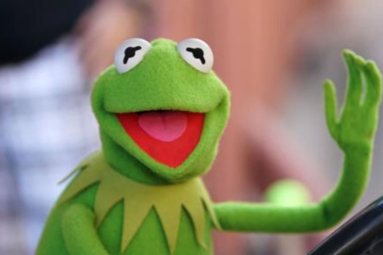 Nueva especie de rana de cristal descubierta en Costa Rica es idéntica a la Rana René 4 El increíble hallazgo de un fósil anfibio al que llamaron “rana René” - LA NACION