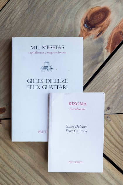 El nombre de Rizoma se inspira en la obra de Deleuze y Guattari