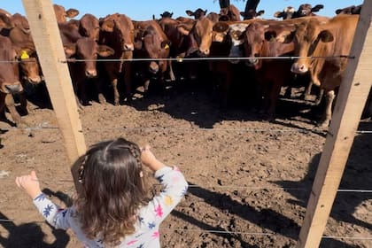 El nombre del emprendimiento es por la hija del empresario, Hernestina