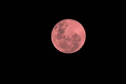 El nombre "Luna Rosa" proviene de las culturas originarias de EE.UU. (Archivo)