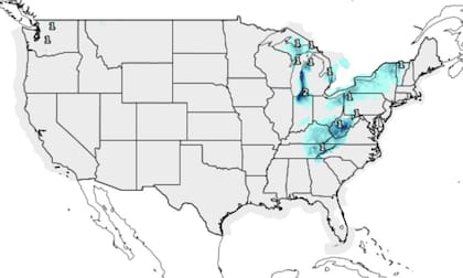 El noreste de EE.UU. se cubre de blanco por la caída de nieve de esta semana