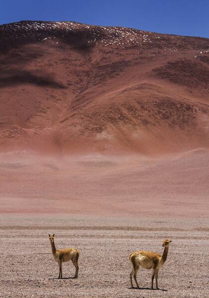El Norte de Chile, una de las regiones más áridas del planeta