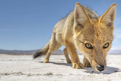 “El norte me marcó por su mezcla de silencio y color. La Patagonia me cambió la cabeza, especialmente la inmensidad y la sensación de frontera. En cada lugar encontré una relación distinta con el tiempo".