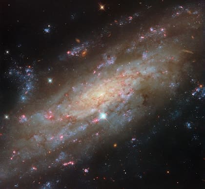 El núcleo de la galaxia brilla en tonos amarillos debido a estrellas más antiguas y frías, lo que contrasta con el azul vibrante de las estrellas jóvenes y calientes en los bordes