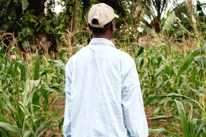 El nuevo cálculo para los salarios de las H-2A perjudicó a los trabajadores