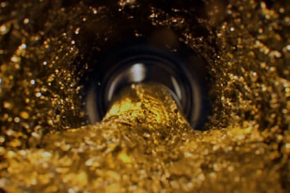 El nuevo combustible de AXION energy fue presentado en Expoagro. “El agro es uno de los motores de la economía del país y la red llegó para ser un socio estratégico de confianza para el productor, ofreciéndole un servicio diferencial y de la más alta calidad”, dijo Juan Pablo Juliano, gerente ejecutivo de ventas B2B.