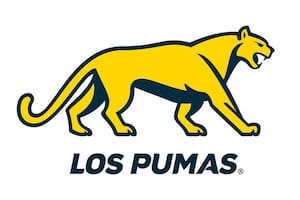 El Puma se separa del logo de la UAR: cuál es la justificación del cambio, según los dirigentes