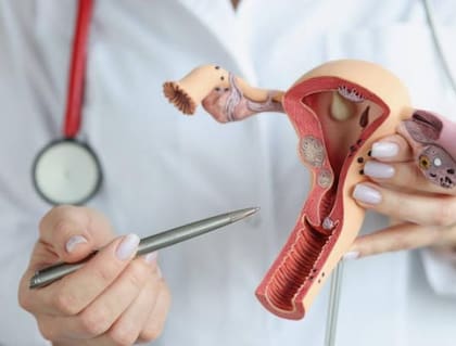 El nuevo dispositivo busca reducir molestias, facilitar su uso clínico y ser más sostenible.
Foto:iStock