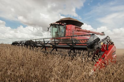 El nuevo equipo de Case