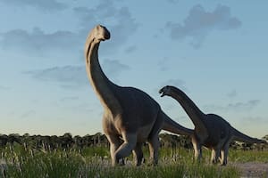 Encontraron fósiles de un nuevo dinosaurio gigante que pesaba siete toneladas