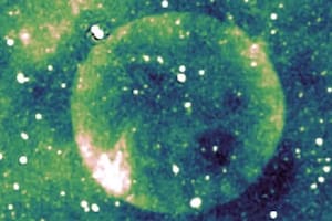 El nuevo hallazgo plantea desafíos impensados para los científicos (Foto: Lad Bible)