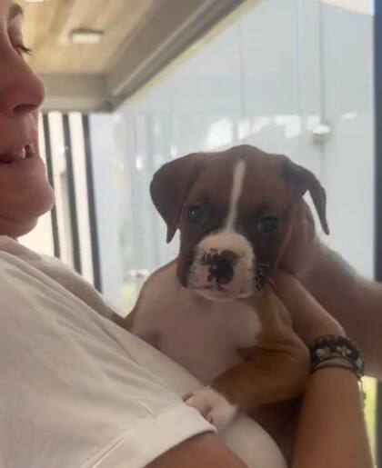 El nuevo integrante de la familia (Captura: @julilc1)