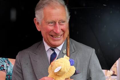 El nuevo libro El Rey: La vida de Carlos III afirma que el monarca encargó a su ayudante y a una niñera jubilada el cuidado de su querido oso de peluche de la infancia.