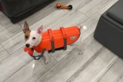 El nuevo look de Zuko para la próxima vez que salga a navegar