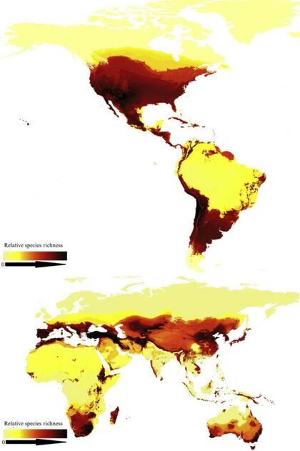 El nuevo mapa global ayudará en la conservación de los insectos de los que la humanidad depende para la polinización de los cultivos, dicen investigadores de Singapur y China