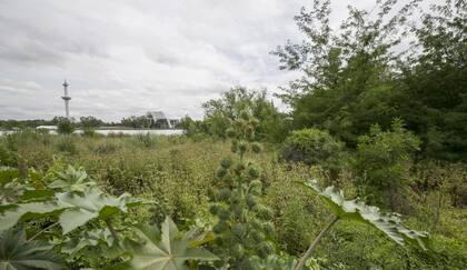 El nuevo parque natural de Soldati