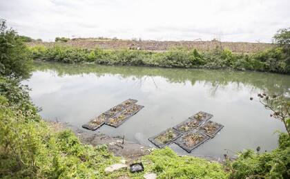 El nuevo parque natural de Soldati