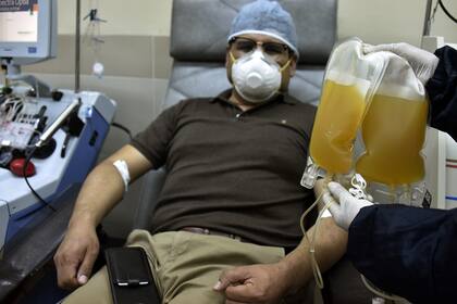 El nuevo recuperado de coronavirus, Marco Saavedra, dona muestras de sangre para extracción de plasma, en el banco de sangre Hemocentro en La Paz el 10 de junio de 2020