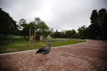 El exzoológico porteño atraviesa una reconversión hacia ecoparque