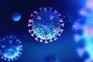 La opinión de los expertos sobre el nuevo subtipo de la variante ómicron que se detectó en el país