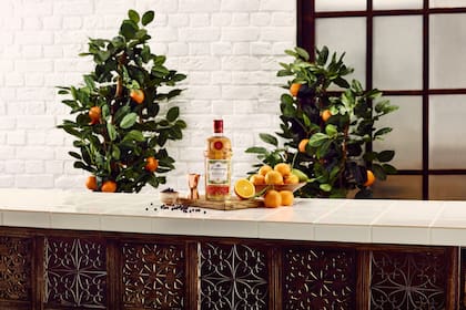 El nuevo Tanqueray Flor de Sevilla