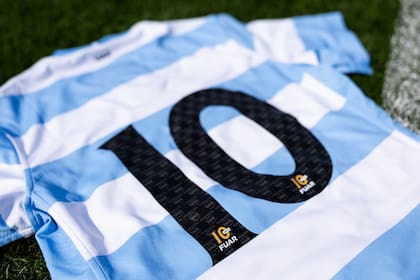 El número de cada camisetas que utilizarán los Pumas frente a Nueva Zelanda incluirá un homenaje a la Fundación UAR por su 10º aniversario.