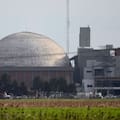 Nucleoeléctrica crea una unidad para vender servicios nucleares al mundo
