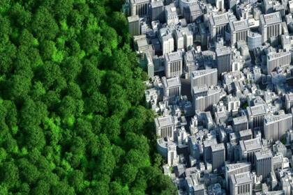 El objetivo de las compensaciones de carbono es "permitir que las corporaciones sigan emitiendo con impunidad", según el economista David Barmes