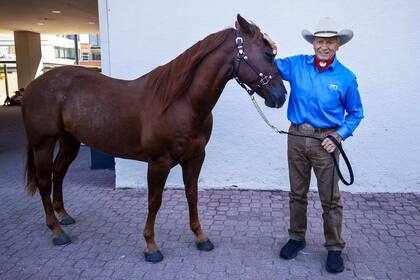 El objetivo de Monty Roberts es erradicar la violencia hacia los caballos, a través de su método join-up