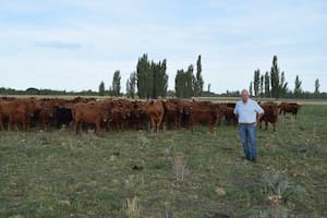 Se mudó a la Patagonia, empezó con pocas vacas y hoy tiene un exitoso emprendimiento