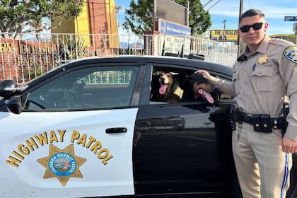 El objetivo del programa es anticipar posibles colisiones que provocan los conductores imprudentes de California