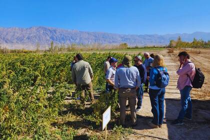 “El objetivo es evaluar cómo responden los sistemas biológicos a condiciones propias del ambiente orbital, como la radiación, la microgravedad y las variaciones térmicas extremas”, indicó INTA