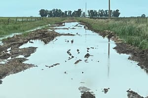 Tras dos fallos a favor, productores bonaerenses van por un tercer juicio para frenar sobretasas