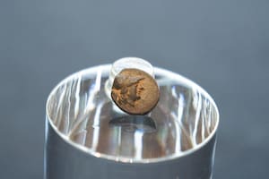 Un adolescente encontró la primera moneda griega de la ciudad, acuñada en la antigua Troya